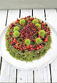 Hand-made ornamental cake made from moss, berries and sweet chestnuts for bird feeding station