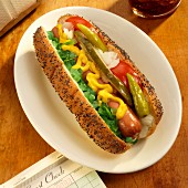 A Chicago hot dog