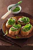 Crostini topped with peas and radishes