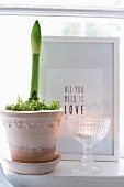 Amaryllis in dekorativem Blumentopf neben Vintage Glasschale mit Teelicht, im Hintergrund gerahmte Botschaft