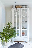 Heart-shaped wreaths hung on doors of white-painted display case next to fir branches in floor vase