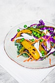 Vegetable salad with red cabbage, peas and grilled peppers