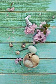 Ostereier in einer Schale, Wachteleier, silberner Osterhase und Kirschblütenzweig auf Holzuntergrund