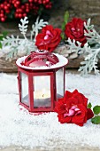 Tealight in red lantern and roses on artificial snow