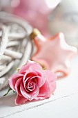 Pink rose: festive star bauble in blurred background