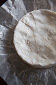 Brie cheese on a piece of paper (seen from above)