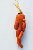 A knobbly carrot