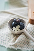 Blueberries on a white spoon decorated with a hydrangea flower