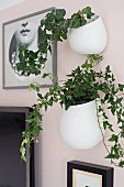 Houseplants in white pots hung on pink wall
