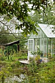 Greenhouse and wooden deck next to pond in garden