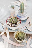 Cacti planted amongst gravel and pebbles in old teacups