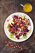 Salad with grilled octopus, radishes and pomegranate seeds