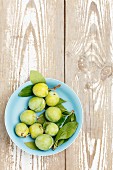 A bowl of fresh plums (seen from above)