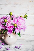 Pink peonies in jug