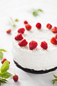 Coconut cheesecake with fresh raspberries