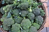 Organic green broccoli in a wicker basket at a market