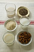 A glass of hemp milk, rice milk and almond milk and bowls of hemp seeds, rice and almonds