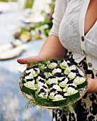 Cucumber slices with cream cheese and caviar for a mid-summer festival