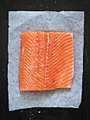 Salmon fillet seasoned with salt and sugar on a piece of paper (seen from above)