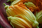 A bowl of courgette flowers