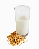 Grain milk with grains