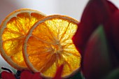 Two orange slices with an amaryllis flower