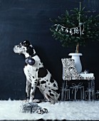 Dog with Christmas tree bauble hanging from collar sitting in room decorated in black and white
