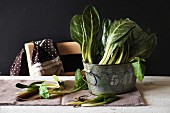 Fresh chard in a vintage metal tub on a table