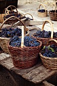 Freshly harvested red grapes in wicker baskets