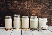 Veganer Milchersatz in Gläsern, daneben Mandeln, Reis, Hafer, Kürbiskerne und Kokosnuss