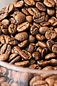 Coffee beans in a plastic bowl (close-up)