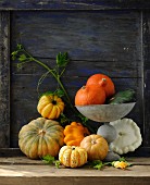 Various pumpkins against a wooden wall