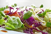 Mixed salad with cabbage (close-up)