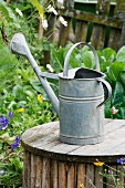 Old watering can on wooden table in garden