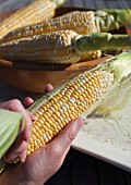 Corn cobs being shucked
