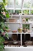 Vases and bowls on white-painted shelves below glass roof in greenhouse