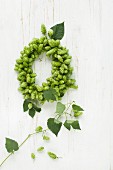 Wreath of hops on wooden surface