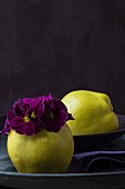Two quinces with purple flowers and a purple fabric napkin as table decoration