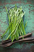 Wild asparagus in a basket on a rustic wooden table with salad servers