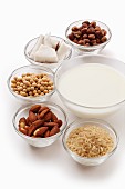 Zutaten für veganen Milchersatz: Nüsse, Reis und Hülsenfrüchte