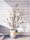 Zweige im Blumentopf aus Beton mit goldenen Streifen vor Bretterwand mit abgeblätterter Farbe