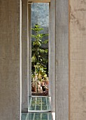 Concrete pillars on terrace with view of plants in sunny garden