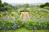 Agapanthus Beete und formgeschnittene Hecken in geometrisch angelegtem Garten mit Landschaftsblick