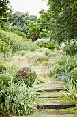 Nasse Natursteinstufen in eingewachsenem Garten mit Ziergräsern und Büschen