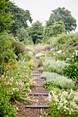 Sloping gravel path with wooden sleepers in flowering gardens