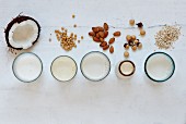 Various types of vegan milk in glasses