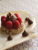 Chocolate cake with nuts and raspberries
