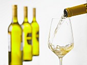 Weißwein wird in ein Weißweinglas eingeschenkt, eine Reihe Weinflaschen im Hintergrund