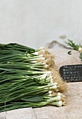 Bundles of spring onions at a market