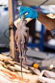 A hand holding a fresh octopus at a market